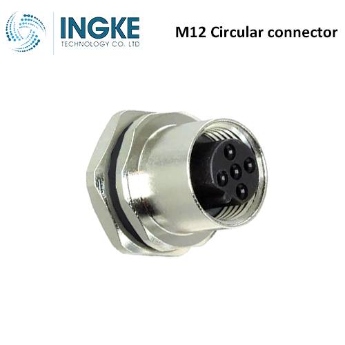 T4143412021-000 M12 Circular Connector Plug 2 Position Female Sockets Panel Mount IP67 B-Code Waterproof