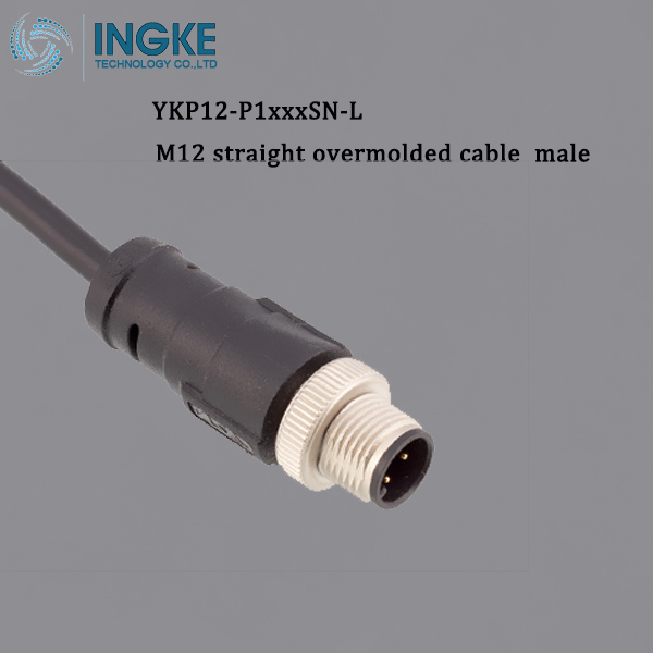 INGKE YKP12-P1xxxSN-L M12 Circular Connector Overmolded Cable Assembly male Sensor